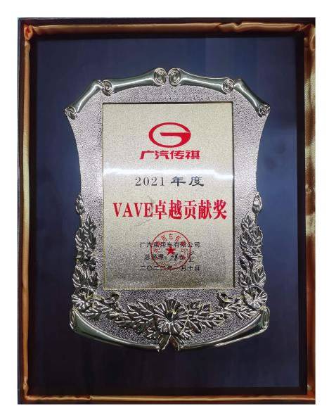 VAVE卓越贡献奖 VAVE卓越贡献奖