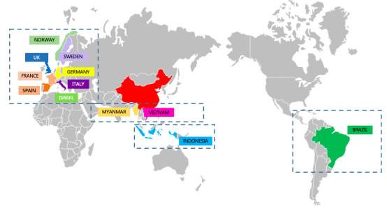   ▲ 迪克化学海外业务发展图