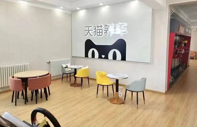 顾客休息区温馨舒适 顾客休息区温馨舒适