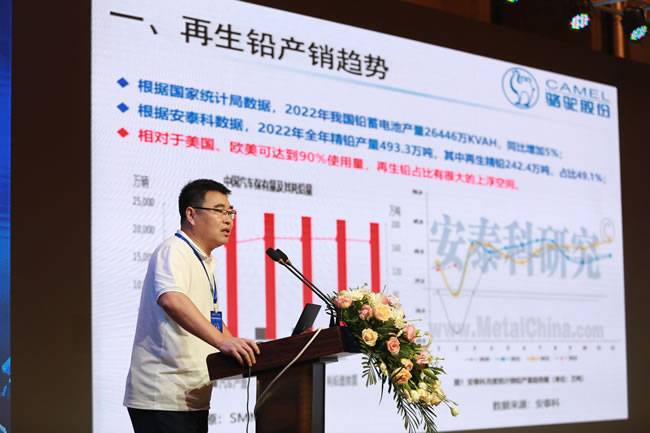 骆驼股份集团有限公司副总裁高国兴