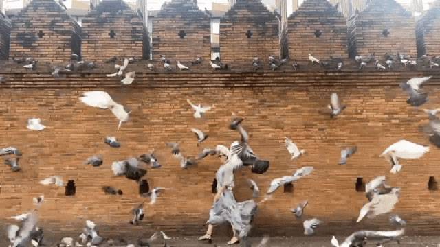 塔佩门 ▲ 塔佩门 ▲